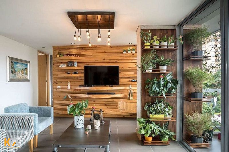 Trang trí phòng khách bằng gỗ tự nhiên đơn giản với những chậu cây xanh nhỏ xinh Trang trí phòng khách bằng gỗ tự nhiên đơn giản với những chậu cây xanh nhỏ xinh